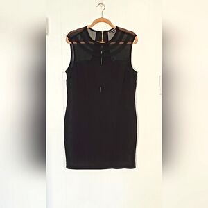 Charlotte Russell Sheer Insert Dress Size 2X